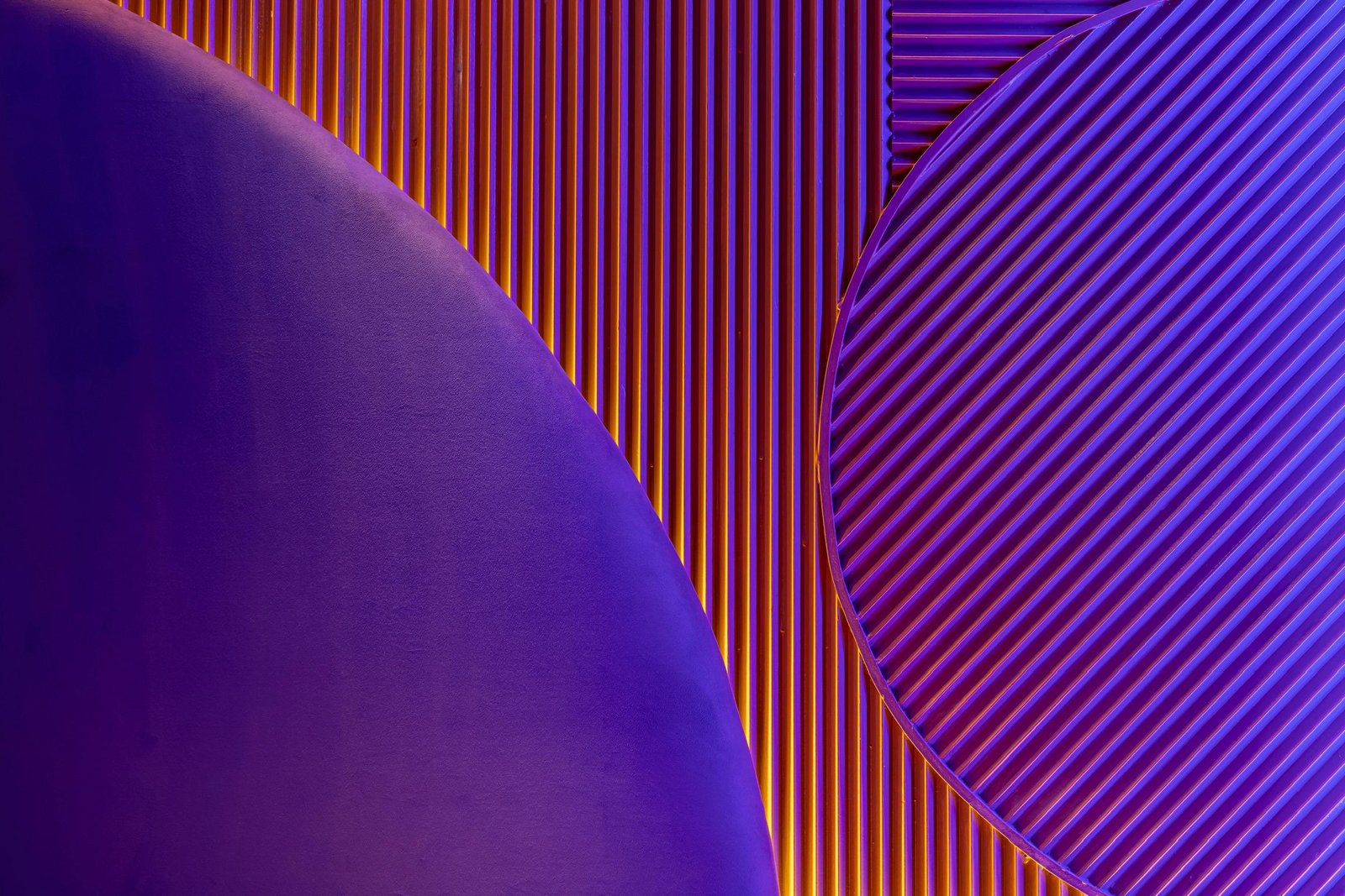 WhatsApp Image 2026-02-04 at 09.09.24